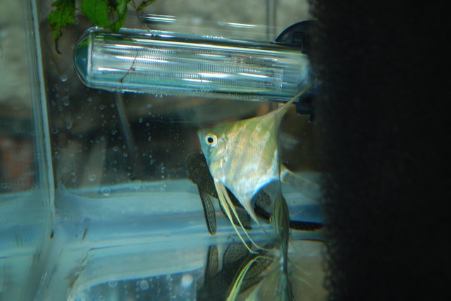 DSC_0146.JPG