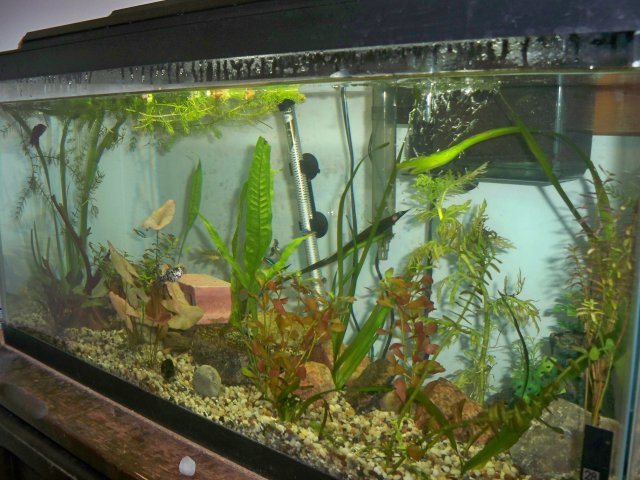 100_0833.jpg