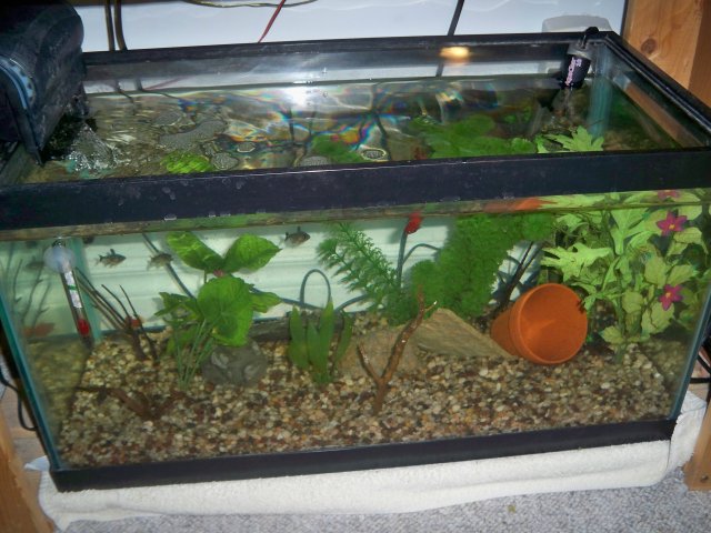 100_0841.jpg