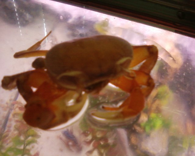 Photo0213.jpg