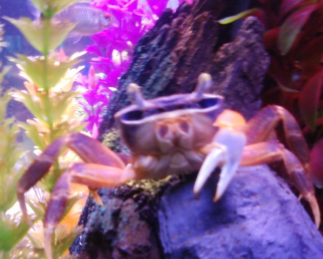 Photo0268.jpg