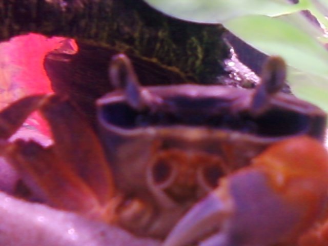 Photo0310.jpg
