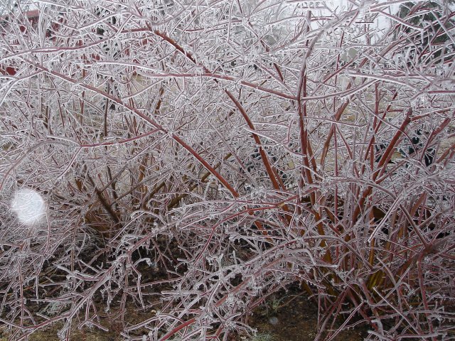 ice 018.JPG