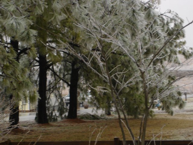 ice 019.JPG