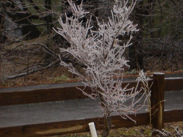 ice 021.JPG