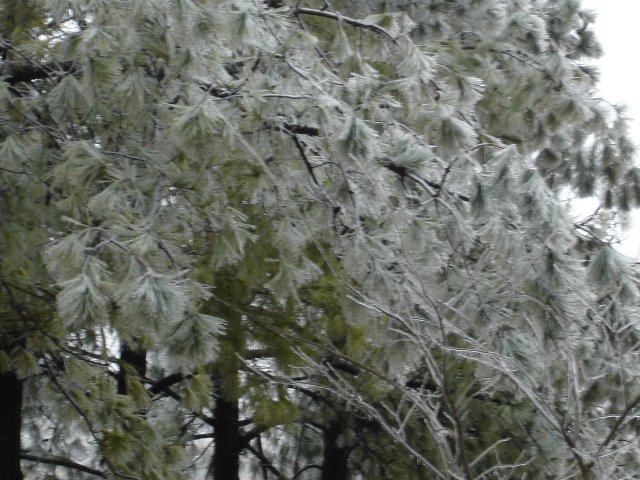 ice 022.JPG