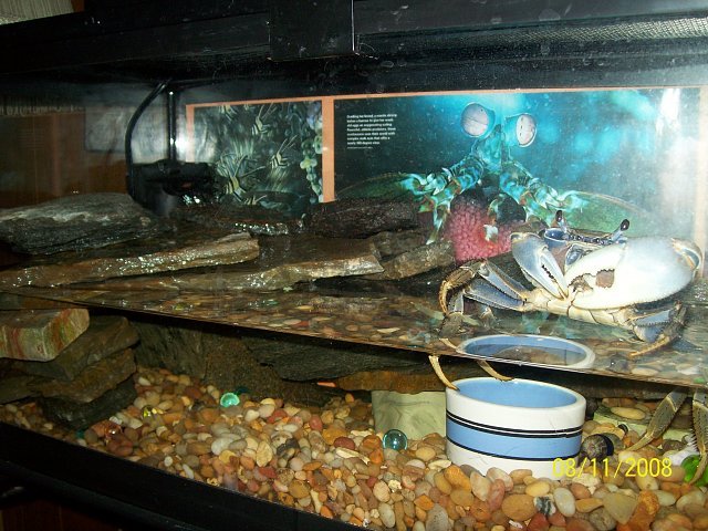 crabman%20076.jpg