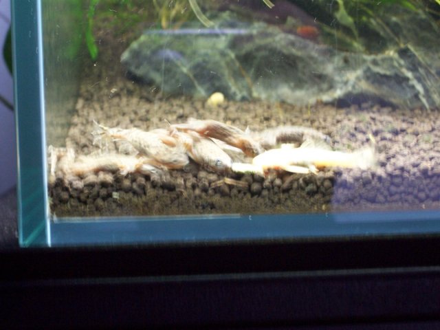 000_1543.JPG