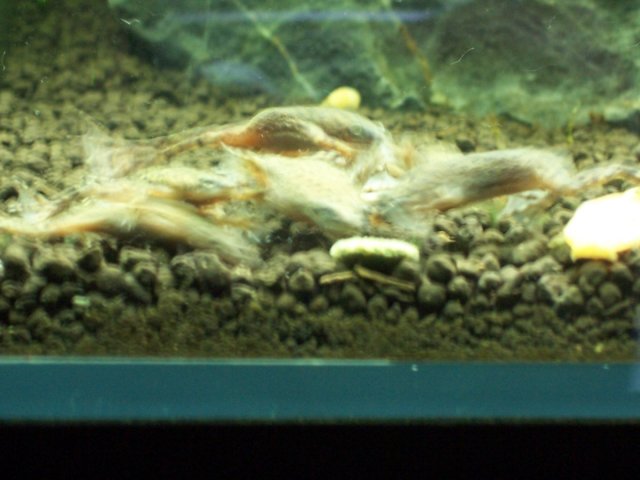 000_1544.JPG