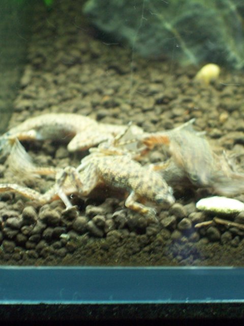 000_1545.JPG