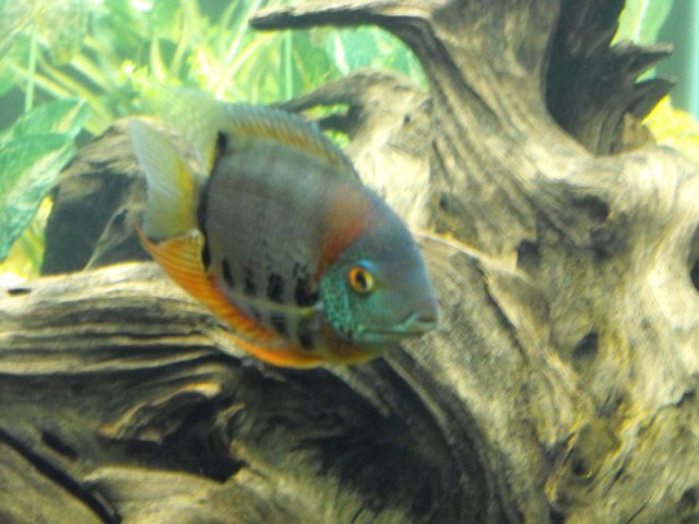 DSCF0131.jpg