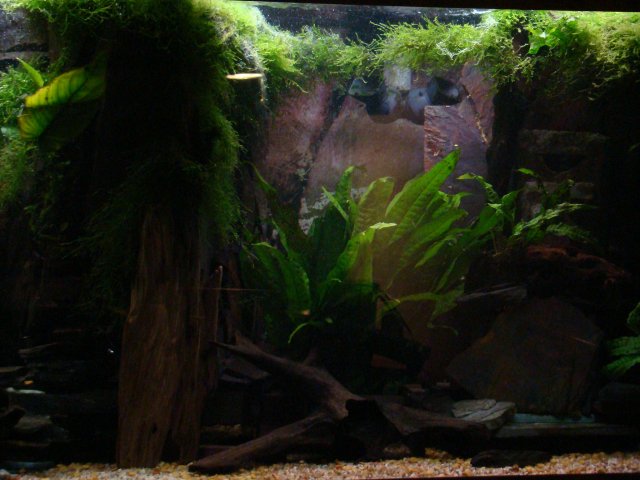 DSC01003.JPG