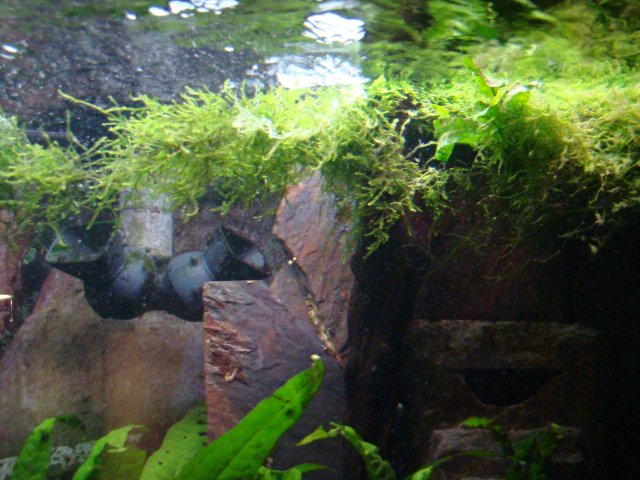DSC01011.JPG