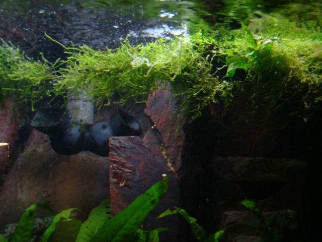 DSC01012.JPG