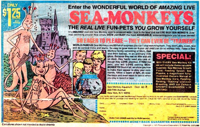 seamonkeys.jpg seamonkeys.jpg