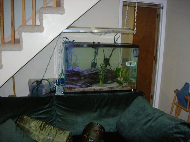 Old_full_tank_shot.JPG