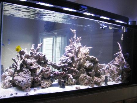 Aquaria - DT@6weeks 016post.jpg