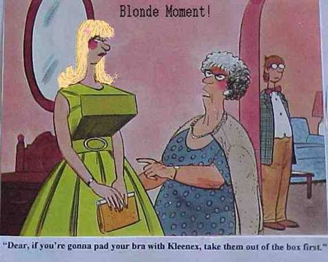 dumb%20blonds.jpg