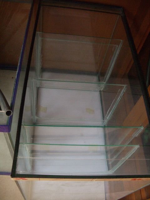 IMGP6185.jpg
