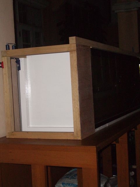 IMGP6193.jpg