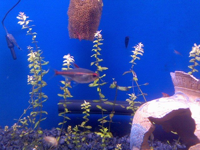 0201092034.jpg