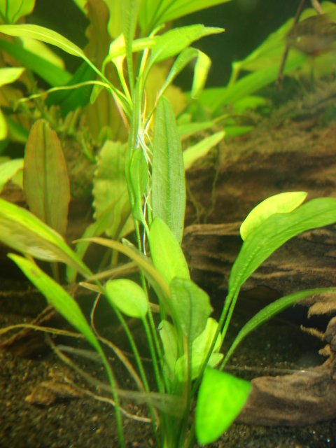 DSC02940.JPG