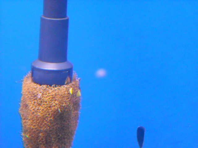 DSCN0691.JPG