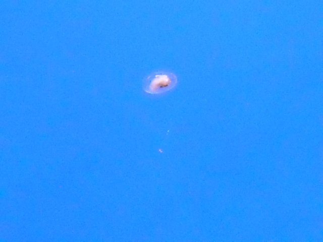 DSCN0689.JPG