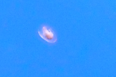 DSCN0695.JPG