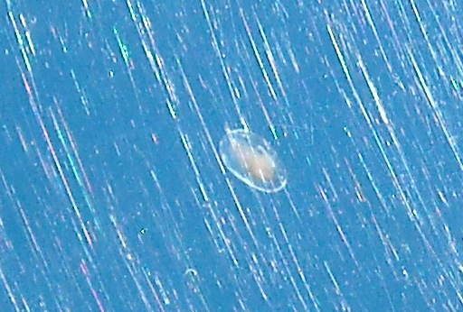 DSCN0694.JPG