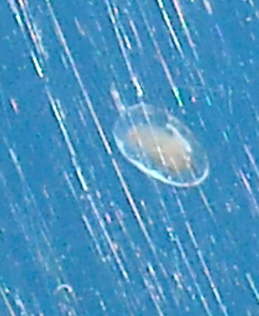 DSCN0693.JPG