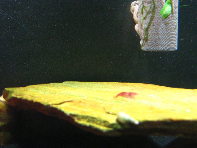 IMG_2378.JPG