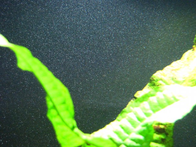 IMG_2380.JPG