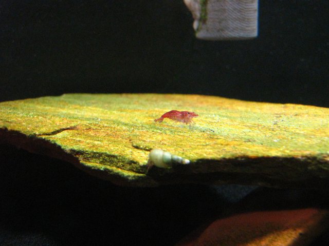 IMG_2379.JPG