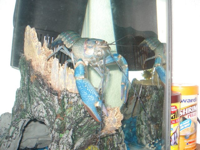 DSC01739.jpg