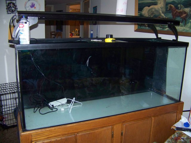 100_4039.JPG