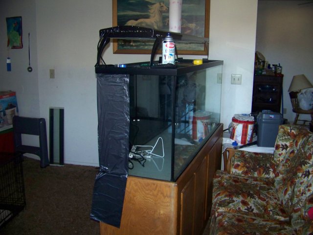 100_4040.JPG