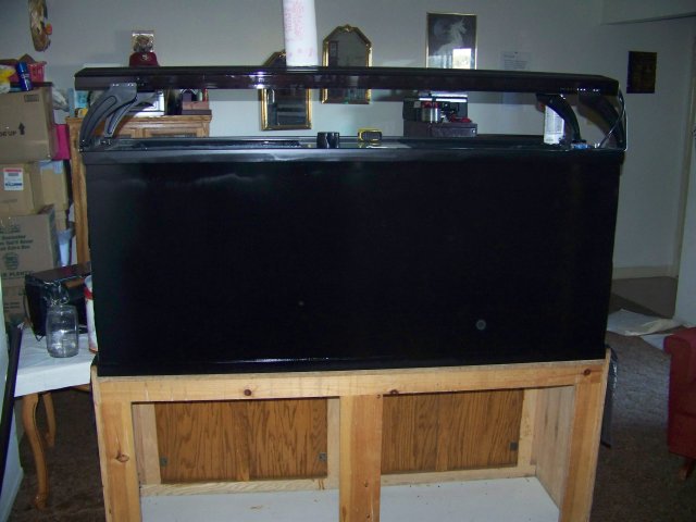 100_4041.JPG