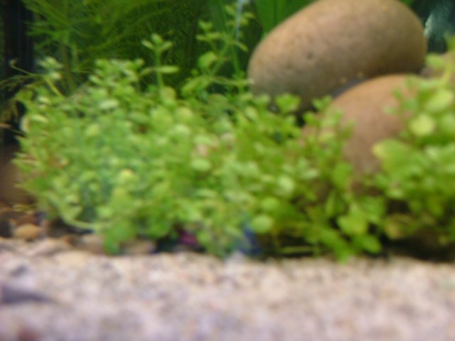 DSCF0498.JPG