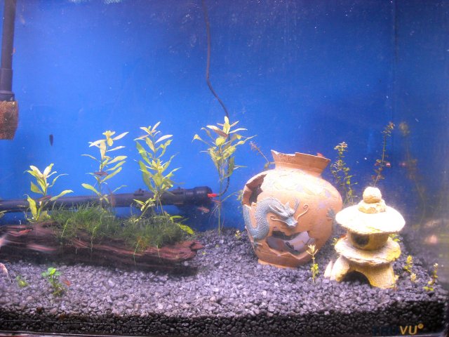 DSCN0700.JPG
