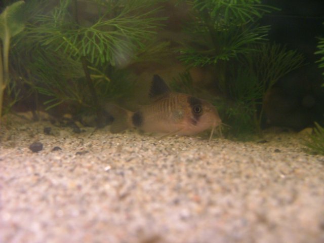 DSCF0405.JPG