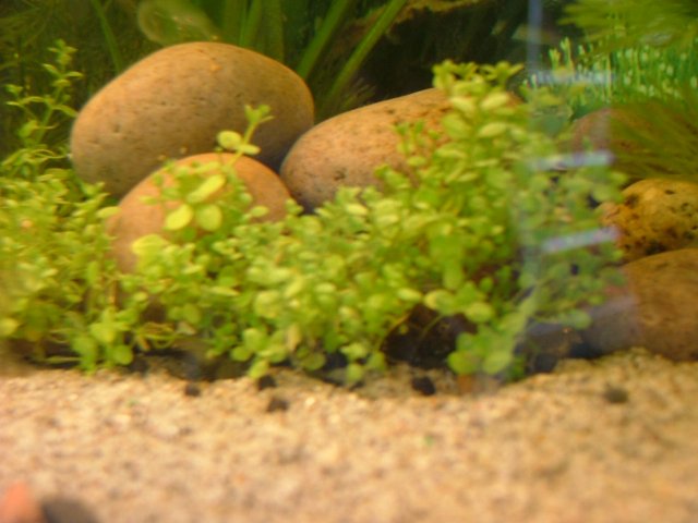 DSCF0496.JPG