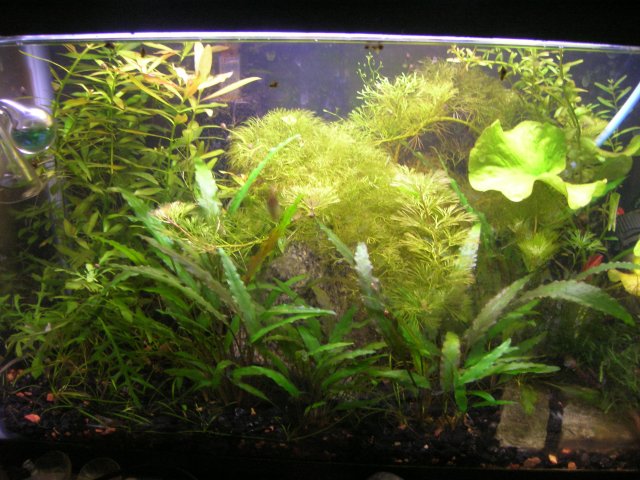 DSCN3841.JPG