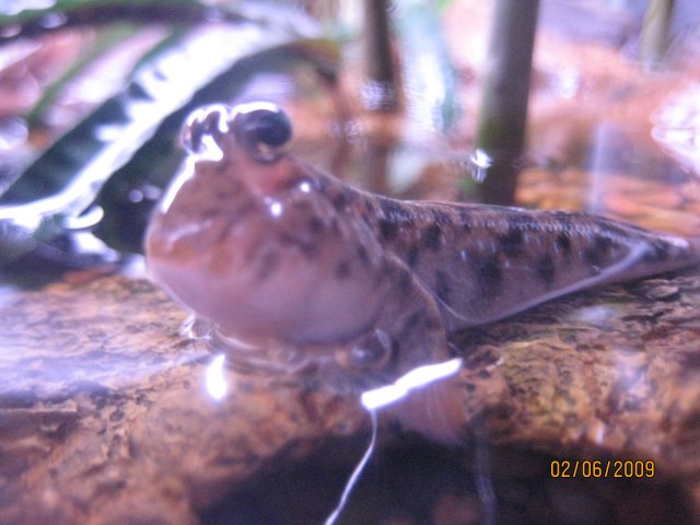 IMG_3398.JPG