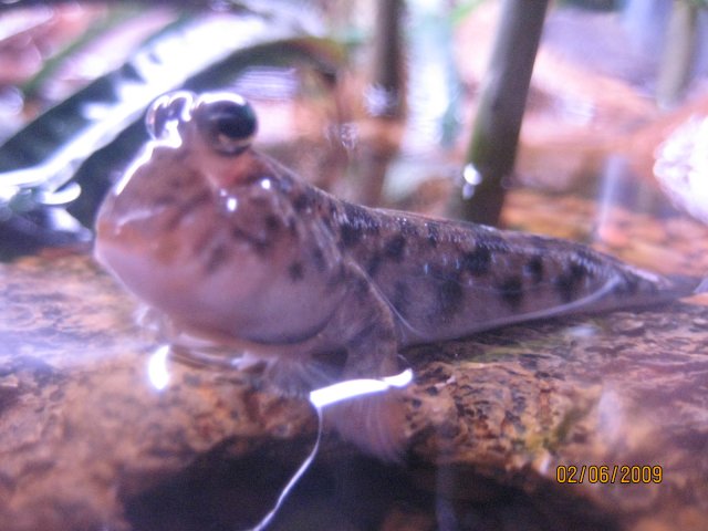 IMG_3399.JPG