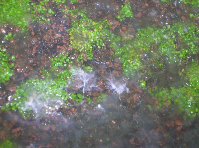 2_1_09 010.JPG