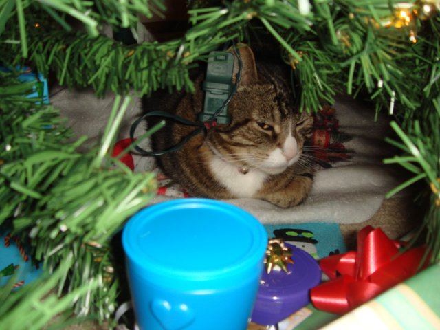 DSC03998.jpg
