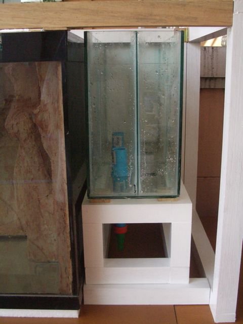 IMGP6203.jpg