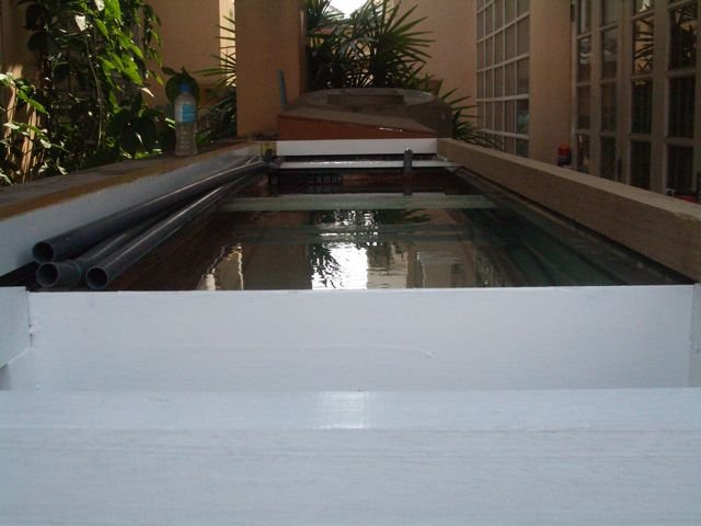 IMGP6208.jpg