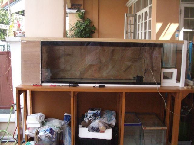 IMGP6209.jpg